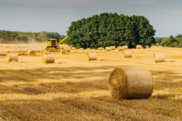 agriculture-country-countryside-878297-1160x750